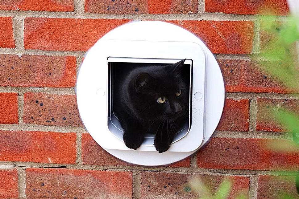 Source: https://images-na.ssl-images-amazon.com/images/I/91w9%2BA9OzcL._SL1500_.jpg